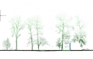 Inwentaryzacja terenów zielonych metodą skaningu laserowego na przykładzie Pałacowego Zespołu Parkowego w Sieciechowicach